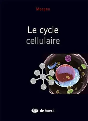 Le cycle cellulaire