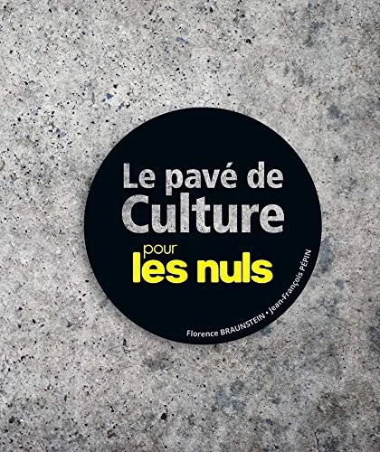 Le Pavé de culture pour les Nuls