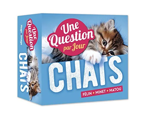 Une Question de chats par jour 2019