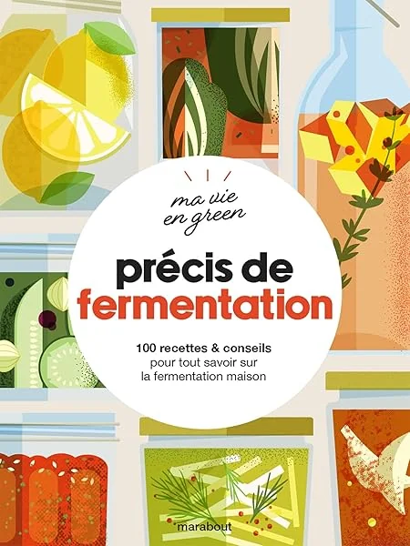 Ma vie en green - Précis de fermentation: 100 recettes & conseils pour tout savoir sur la fermentation maison