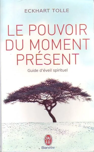 LE POUVOIR DU MOMENT PRESENT.GUIDE DE L'EVEIL SPIRITUEL