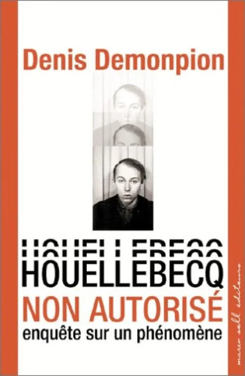 Houellebecq non autorisé : Enquête sur un phénomène