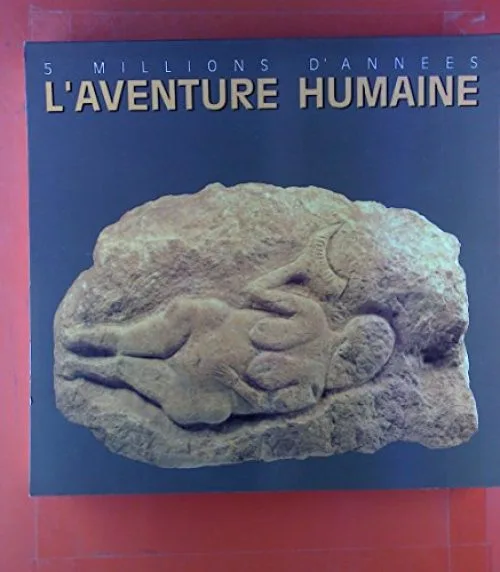5 millions d'annees, l'aventure humaine. Palais des Beaux-Arts de Bruxelles, 14 Septembre - 30 Decembre 1990