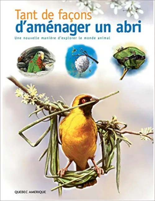 Tant de Façons d'Amenager un Abri