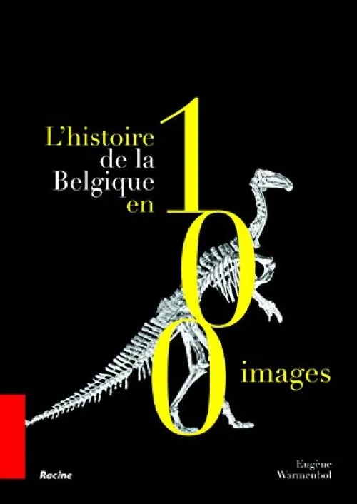 LHistoire de la Belgique en 100 images