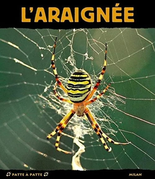 L'Araignée : Petite Fée de la soie