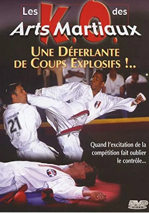 Les k.o. des Arts Martiaux