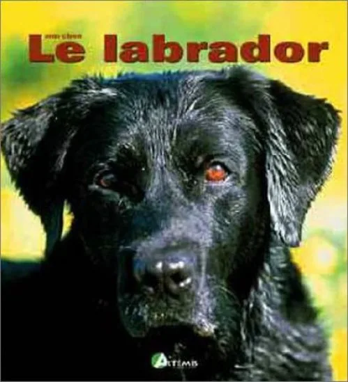 Le Labrador