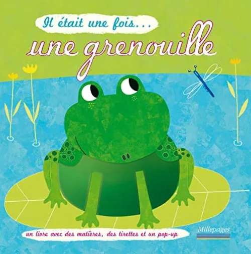 Il était une fois ... une grenouille