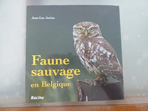 Faune sauvage en belgique