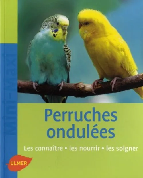 Perruches ondulées