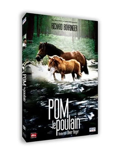 Pom le poulain