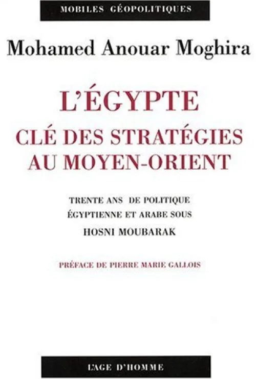 L'Egypte, clé des stratégies au Moyen-Orient : Trente ans de politique égyptienne et arabe sous Hosni Moubarak