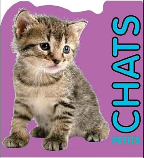 Petits chats