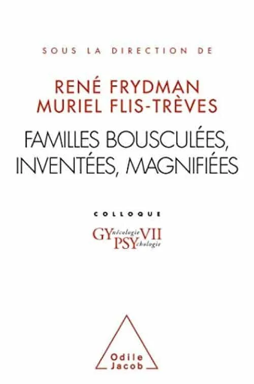 Familles bousculées, inventées, magnifiées: Gypsy VII