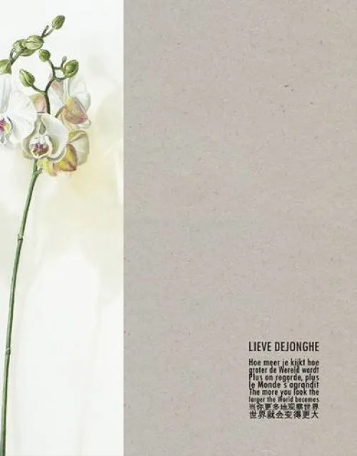 Lieve Dejonghe: Plus on regarde, plus le monde s'aggrandit