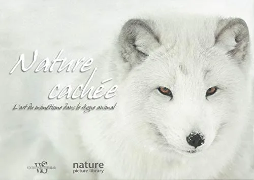 Nature cachée - L'art du mimétisme dans le règne animal