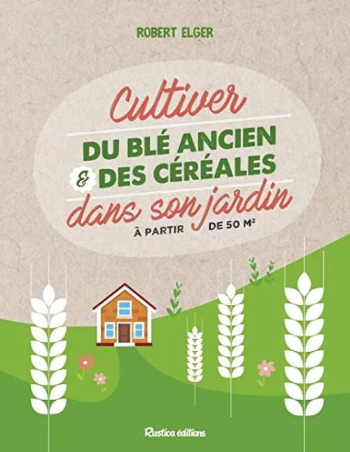Cultiver du blé ancien et des céréales dans son jardin à partir de 50 m2