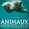Animaux merveilleux en danger