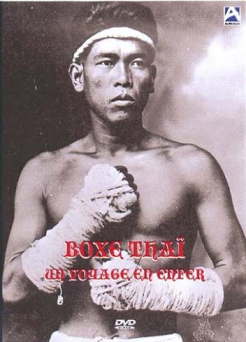 Boxe Thaï : Un Voyage en Enfer