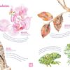Evolution : La lutte pour la survie, sur les traces de Darwin et des grands scientifiques – Image 4