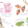Evolution : La lutte pour la survie, sur les traces de Darwin et des grands scientifiques – Image 5