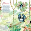 Evolution : La lutte pour la survie, sur les traces de Darwin et des grands scientifiques – Image 6