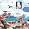 Evolution : La lutte pour la survie, sur les traces de Darwin et des grands scientifiques – Image 8