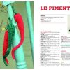 Fruits et légumes au tricot – Image 7