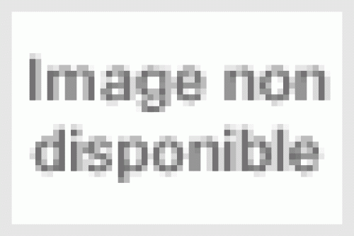 Inoubliables Succes V.2 [Import]