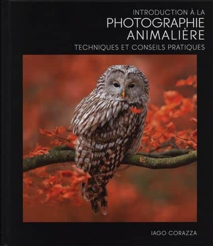 Introduction à la photographie animalière - Techniques et conseils ...