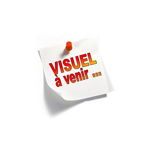 Le Fils du Capitaine Blood