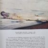Le feu des signes. [auteur : DUTHUIT Georges] [éditeur : Skira] [année : 1962] – Image 6