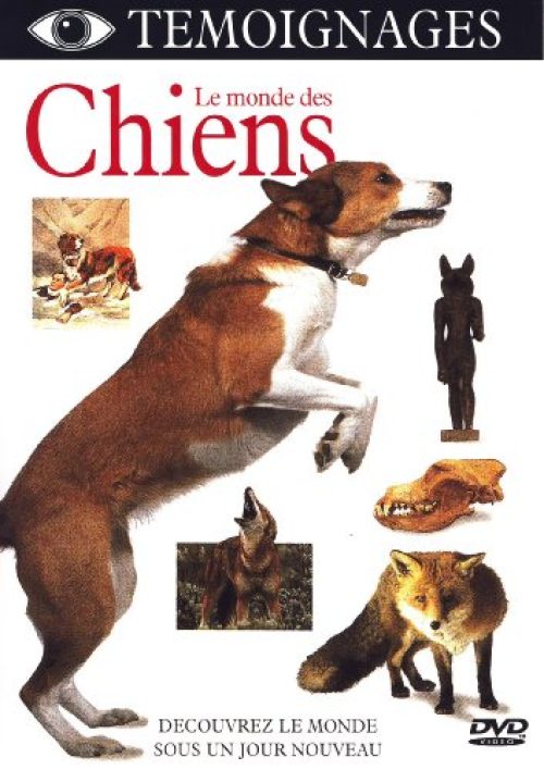 Le monde des Chiens