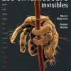 Les envahiseurs invisibles