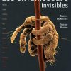 Les envahiseurs invisibles – Image 3