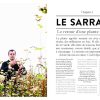 Sarrasin: La renaissance dune plante vertueuse, sa culture et sa cuisine – Image 6