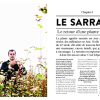 Sarrasin: La renaissance dune plante vertueuse, sa culture et sa cuisine – Image 7
