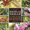 Toute la taille en pas-à-pas photos – Image 3
