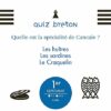 Un jeu par jour Bretagne 2022 – Image 4