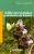 Aed Guide Des Orchidees Communes France