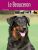 BEAUCERON