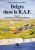 BELGES DANS LA RAF: Tome 1 : Jean Ester and Maurice Balasse