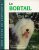 BOBTAIL