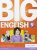 Big English 5 Pupils Book stand alone