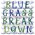 Bluegrass Breakdown