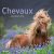 Calendrier 2015 Chevaux