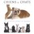 Chiens et chats. Nos merveilleux animaux de compagnie