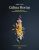 Culina Hortus: Cuisine végétale gastronomique et créative