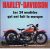 HARLEY-DAVIDSON- 24 MODELES…